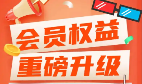 影视会员批发货源展示